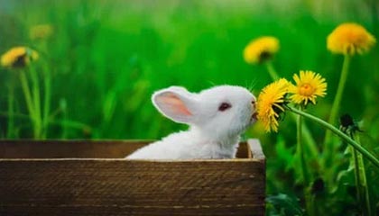 瑟尔洛特破门格德斯扳平 马竞1-1距榜首11分